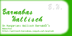 barnabas wallisch business card